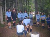 cosa staranno facendo.jpg